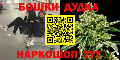 дживик Славгород
