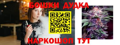 крисы Сланцы