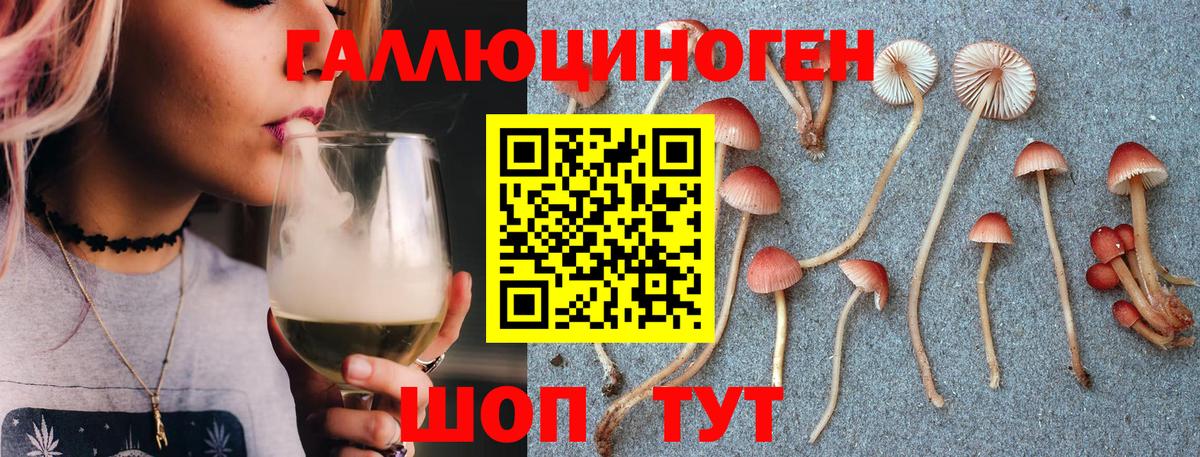 Галлюциногенные грибы мицелий  Вход с VPN  Рубцовск  Галлюциногенные грибы прущие грибы 